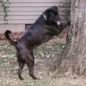 Meet your Posher, Corey